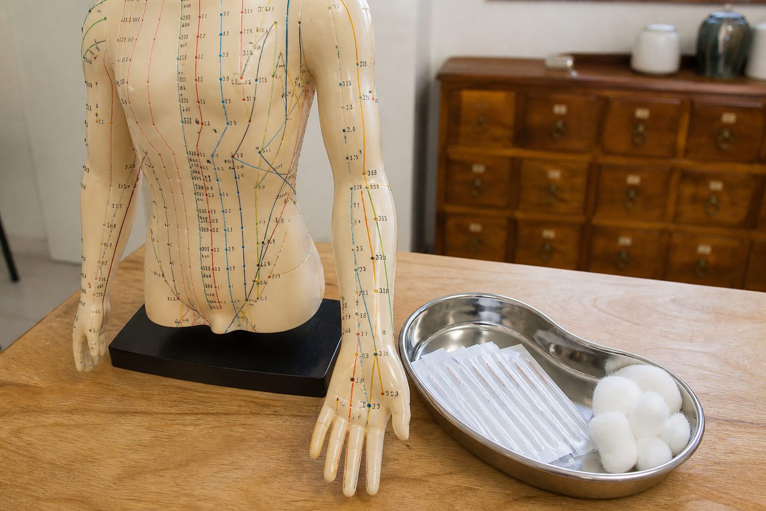 Meridian lines marked on an arm, used as an acupuncture teaching model